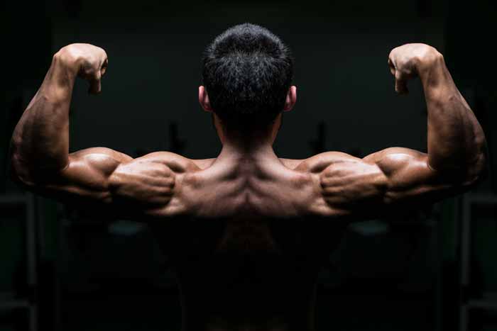 DUMBELL FRONT RAISE NEDİR? NASIL YAPILIR?