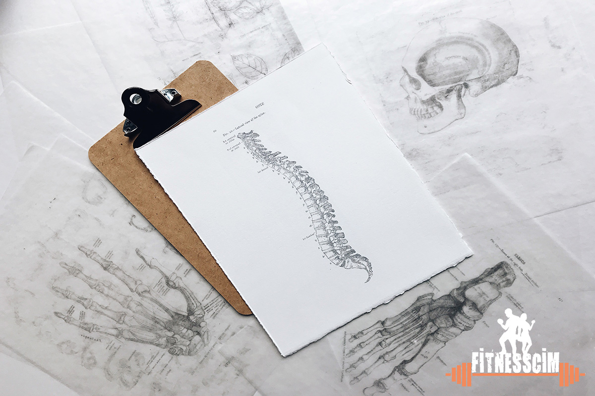 Bel Ağrısına İyi Gelen Egzersiz ve Germe Hareketleri