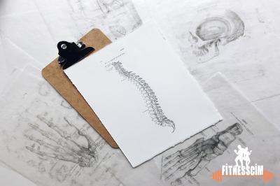 Bel Ağrısına İyi Gelen Egzersiz ve Germe Hareketleri